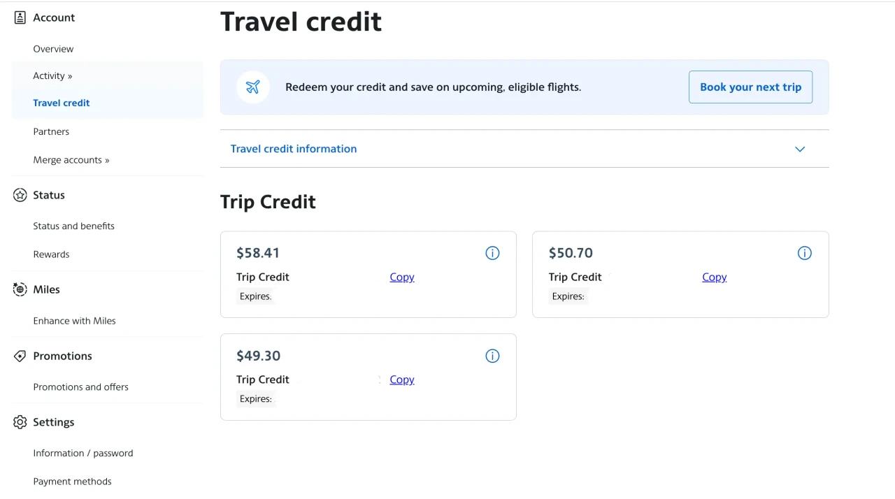 AA wallet page showing trip credit balance
