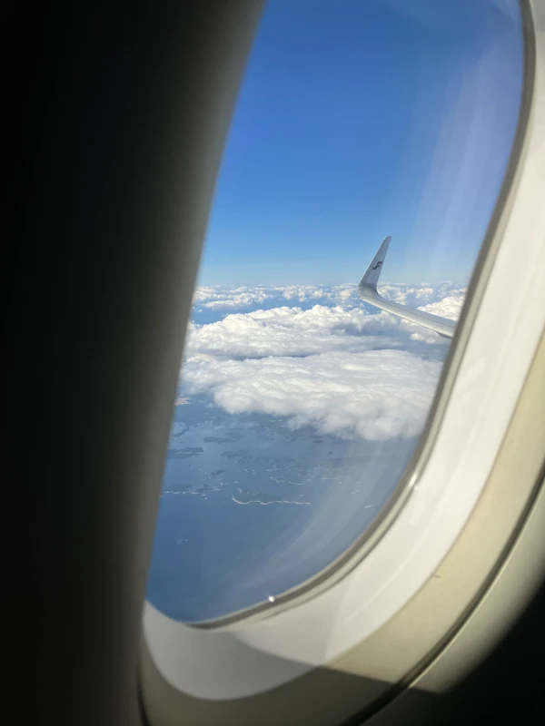 Finnair A321 cabin inflight between Helsinki and Rome